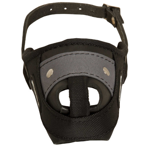 Durable
Pit bull Muzzle