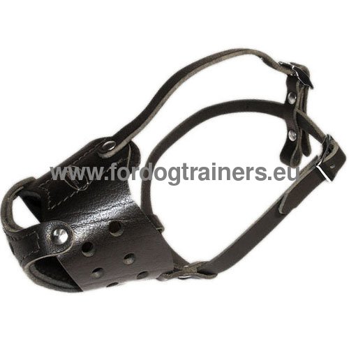 Muselire pour Bullmastiff en cuir solide pour diffrentes
activits