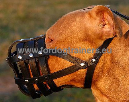 Beikorb Leder fr Pitbull