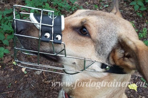 Muselire panier confortable pour chien