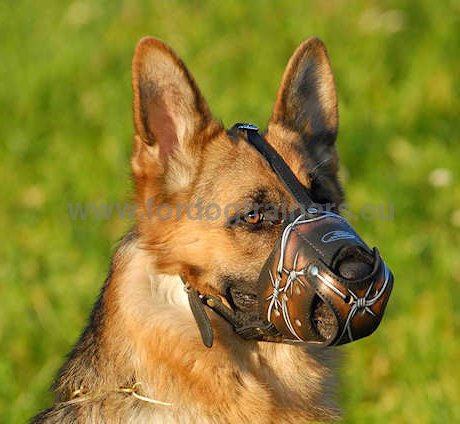 Excellent leather muzzle for walks and training. Hand painted