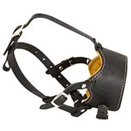 Head Collar Leather for Dogs
