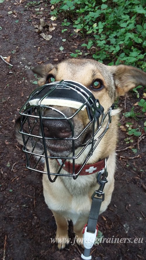 Muselire cage mtallique pour chien