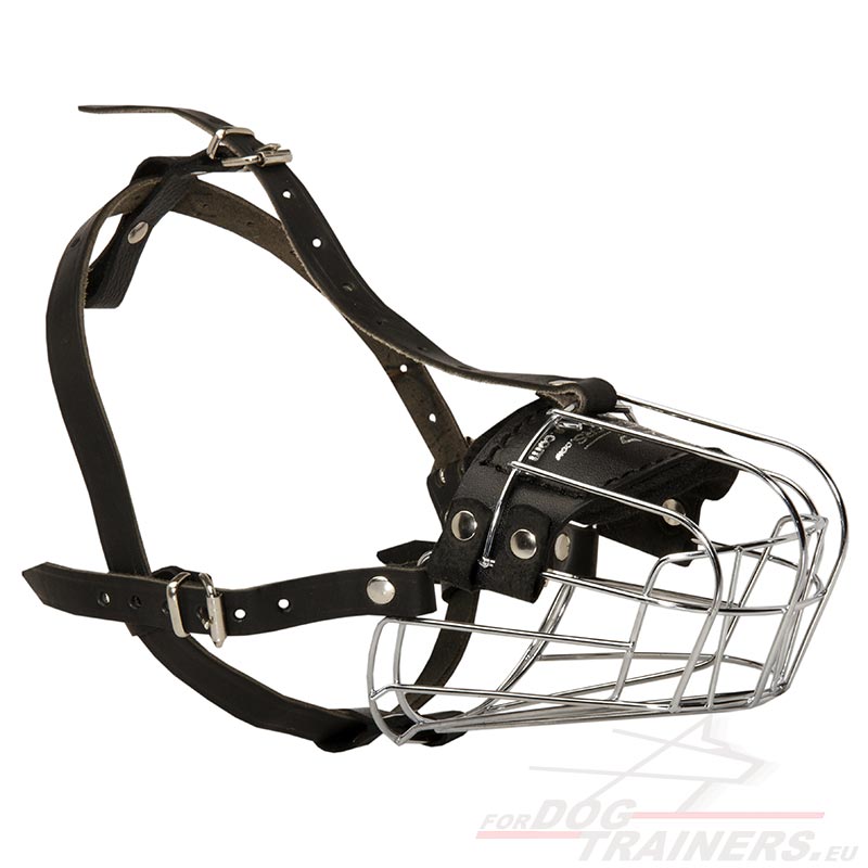Muselière En Cuir Pour Chien Berger Allemand/Malinois - Protection Pour Mâchonnement Et Toilettage