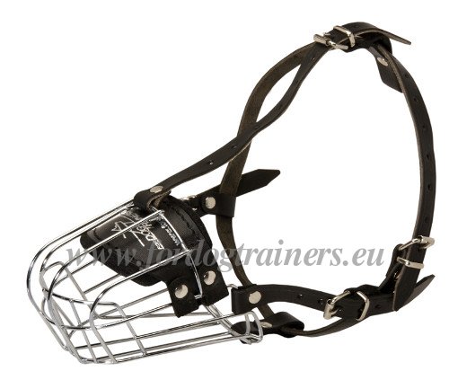 Muselière chien pour empecher de mordre