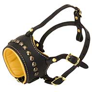 Dog Muzzle Soft Leather | Decorated Dog Muzzle◉