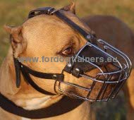 Solid basket muzzle Pitbull training