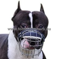 Pitbull strong metal muzzle