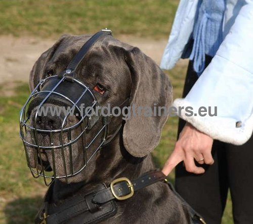 Metal Muzzle for Great Dane
Excellent Ventilation