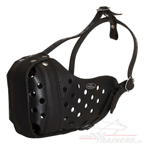 Solid Leather Dog Muzzle