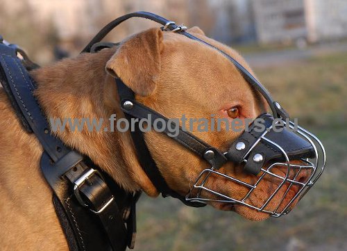 Hundemaulkorb Metall fr Pitbull