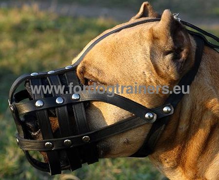Muselière panier en cuir pour Amstaff Confort &
Sécurité