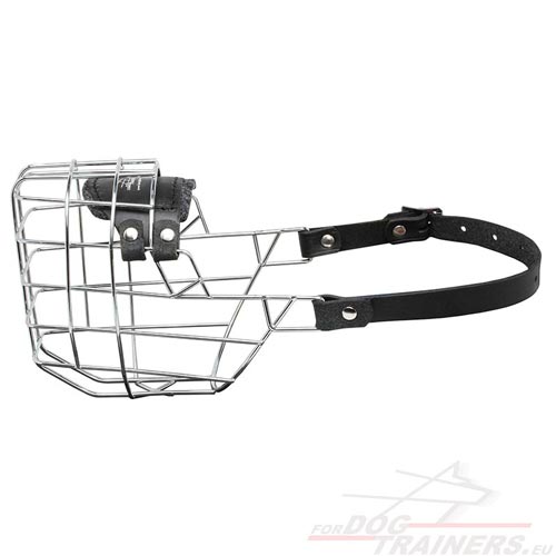 Muselière panier de fer solide pour chien de Berger