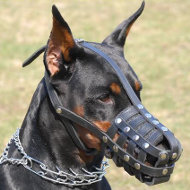 Museliere en cuir pour Dobermann | Museliere pour Dobermann TOP