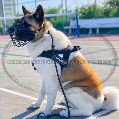 Muselière de qualité pour l'hiver pour akita
