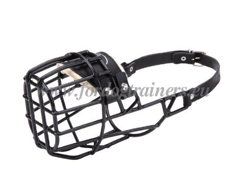 Museliere grillagée pour chien Malinois Belge