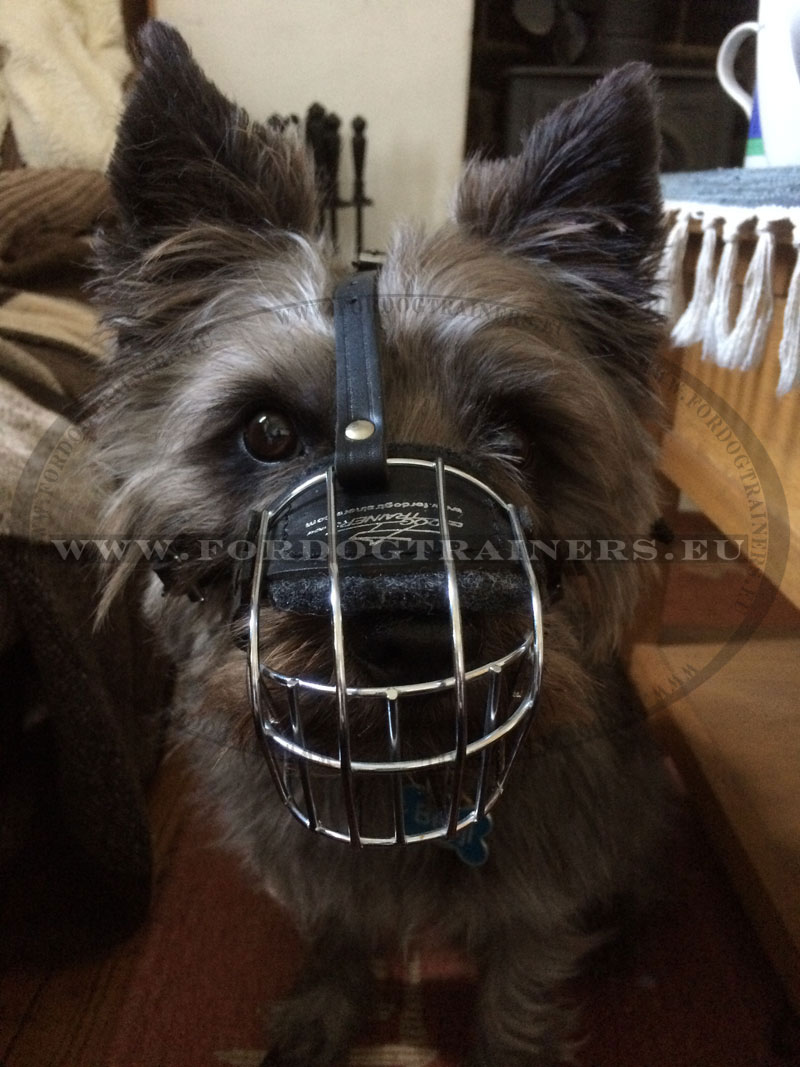 Muselière Panier Pour Spaniel Schnauzer Foxterrier