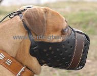 Closed Leather Muzzle well-ventilated for
Bullmastiff