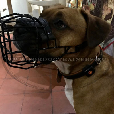 Muselière Recouverte Caoutchouc pour chien Adulte Panier