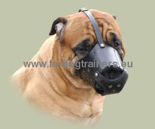 Muselire cuir
multi fonctions pour Bullmastiff