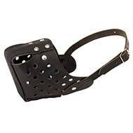 Training Leather Dog Muzzle for Medium and Big Dogs