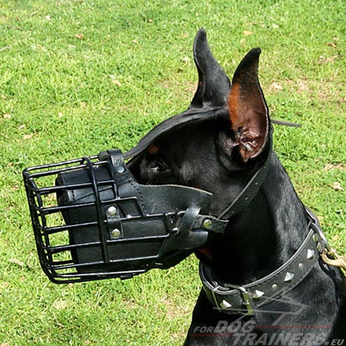 Muselière caoutchoutée d'hiver pour Dobermann