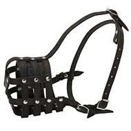 Dog Muzzle for Walk and Vet Visit! Leather Perfect!