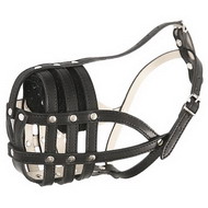 Muselière panier en cuir pour chien Muselière en cuir bien
aérée pour chien