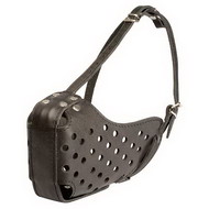 Large dogs leather muzzle