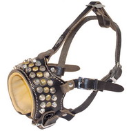 Royal Studded Leather Dog Muzzle for American Bulldog