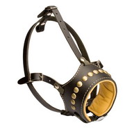 Best Decorated Leather Dog Muzzle