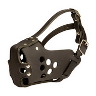 Attack Dog
Muzzle