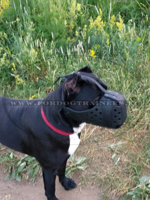 Large Dog Multifunctional Muzzle