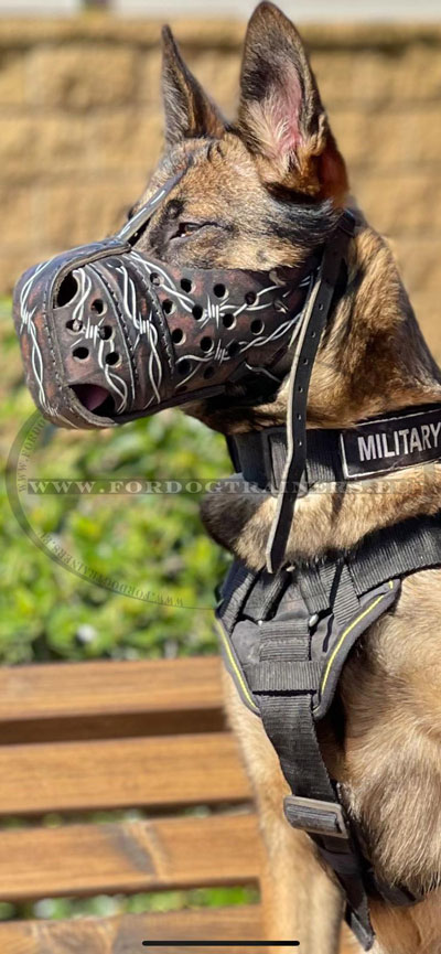 Leather Attack K9 Muzzle for Malinois