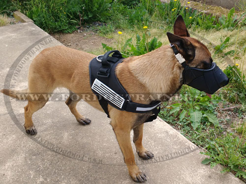 Combi Dog Muzzle for Malinois