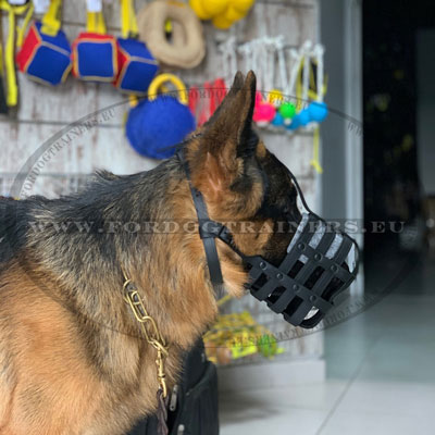 Large Dog Leather Muzzle