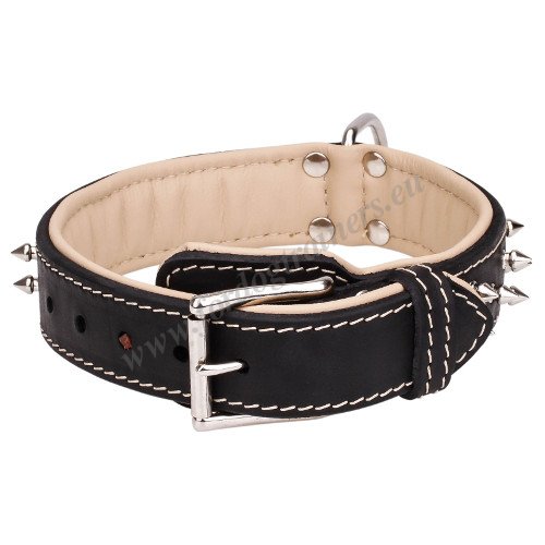 Spiked Dog Collar with Nappa Padding