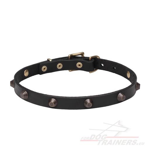 Excellent Dog Collar
Leather with Cones