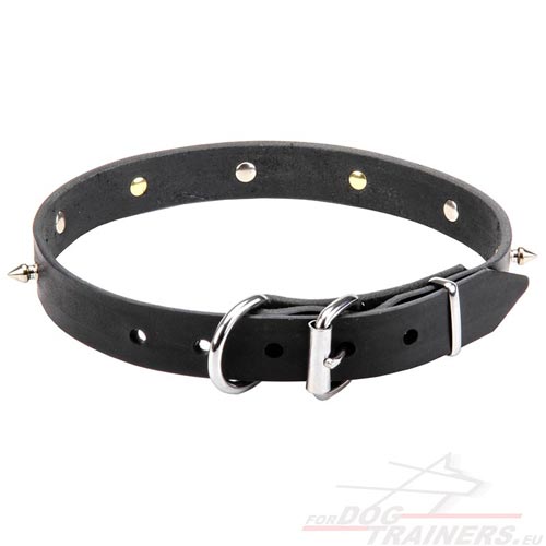 Dog Collar with Original Decoration Narrow