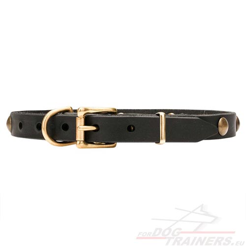 Stunning Leather Dog Collar