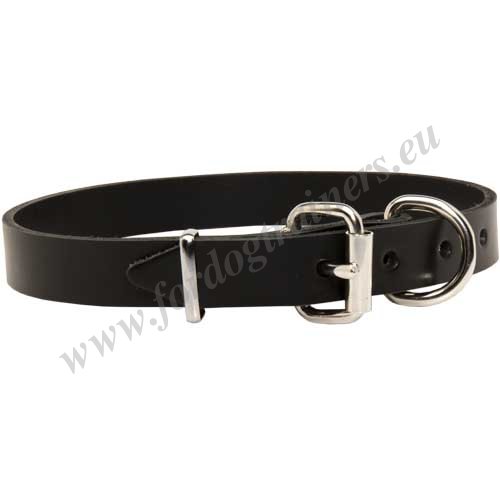 Lederhalsband fr Hunde mit vernickeltem Stahl