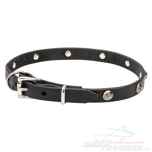 Narrow Leather Collar for Big Dog