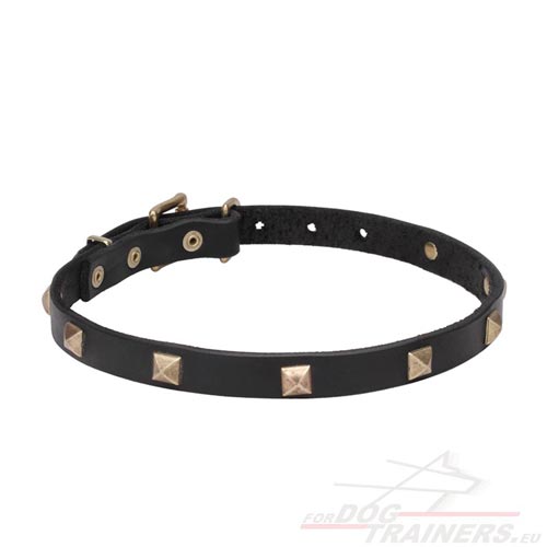 Leather Collar for Dogs with Brass Fittings