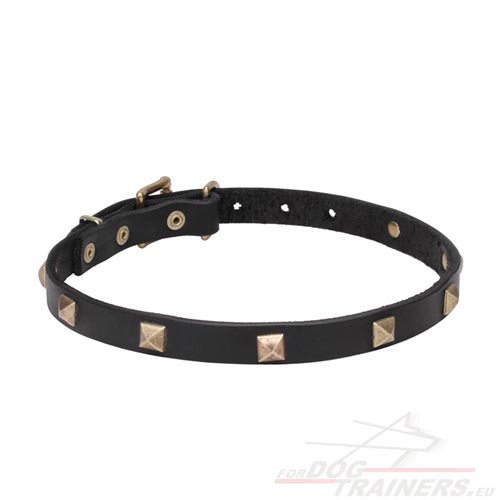 Tear-and-wear Resistant Dog Collar