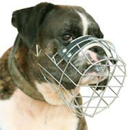 New wire dog muzzle perfect for BOXER [M9###1057 Museruola a cestello d'acciaio nichelato per Boxer]