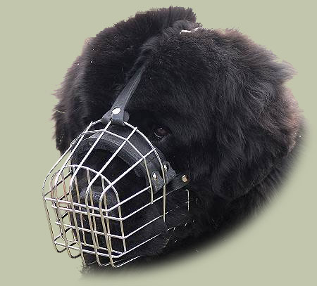 Wire basket muzzle Newfoundland