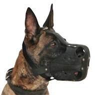 Neue Maulkorb Leder Klassik, optimale Belftung fr Malinois