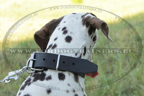 Dog Collar Hardware