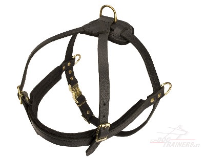 Quality Leather Dog Harness