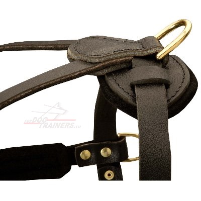 Black Leather Dog Harness for Amstaff
